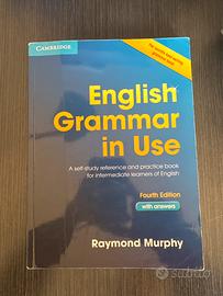 English grammar in use