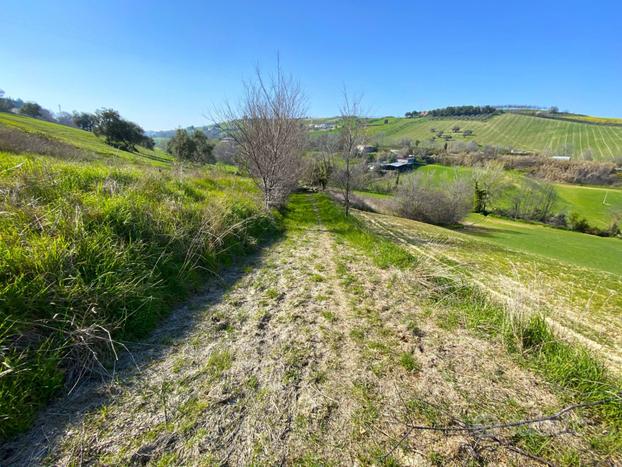 Terreno - Porto San Giorgio