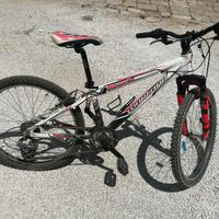 Bici MTB cerchi da 24 