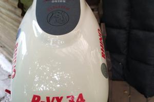 Fuoribordo elettrico