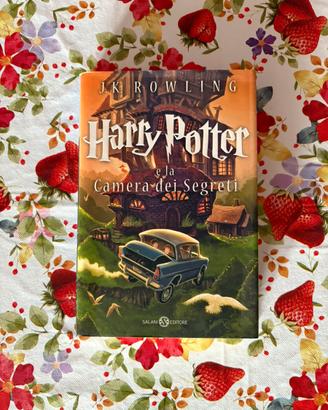 Libro “Harry potter e la camera dei segreti”