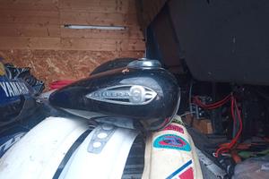 Gilera cougar 125. Serbatoio
