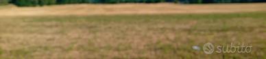 Terreno per uso agricolo