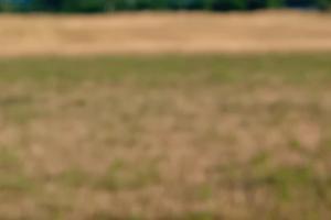 Terreno per uso agricolo