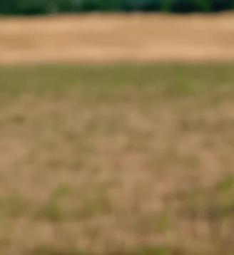 Terreno per uso agricolo