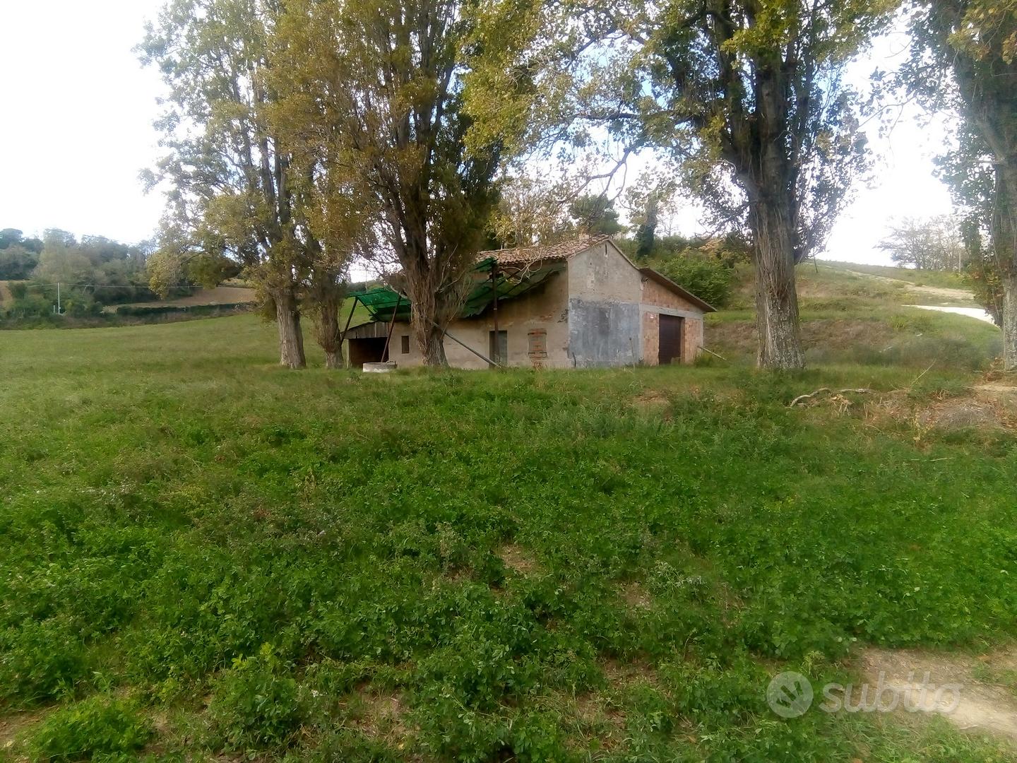 Terreno agricolo - Vista 3