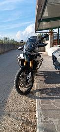 Triumph Tiger rally pro 900