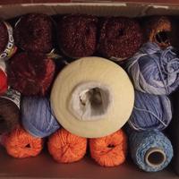 gomitoli lana e cotone