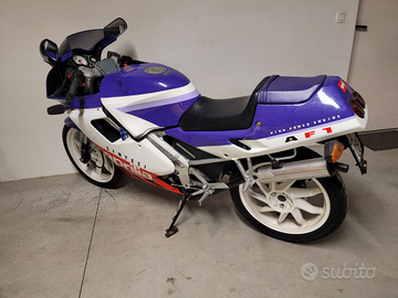 Aprilia AF1 sintesi 125