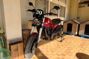 benelli leoncino 500