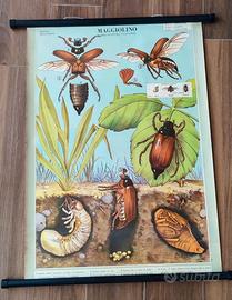 poster manifesto telato vintage 