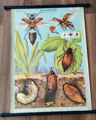 poster manifesto telato vintage 