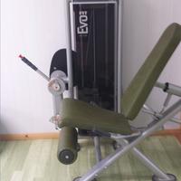 Leg Extension Panatta Fit Evo