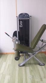 Leg Extension Panatta Fit Evo