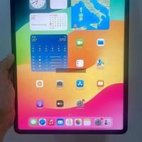 Apple iPad Pro 12.9 M1 silver 128 GB - 8638