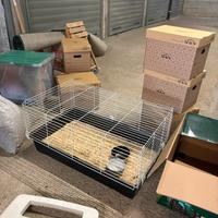 Gabbietta per coniglio o piccoli animali domestici