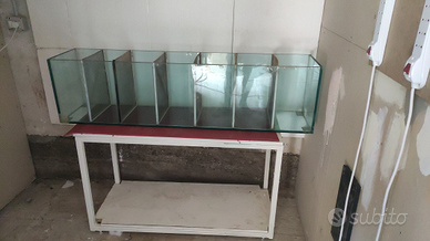 Acquario con separatori