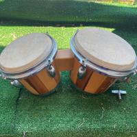 Bonghi professionali