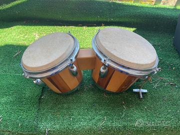 Bonghi professionali