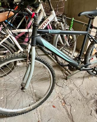 Bicicletta 26 marca F.lli Schiano modello Thunder