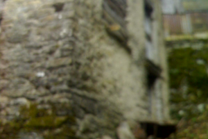 Rustico con giardino