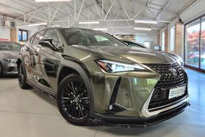 Lexus UX Hybrid *Tagliandi Lexus*