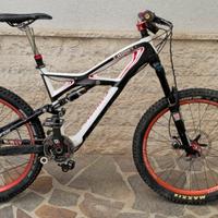 specialized