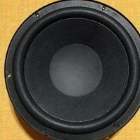 SubWoofer per auto/casa Nuovo