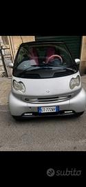 Smart passion