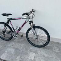 Mountain bike