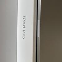 iPad Pro 12.9 quarta generazione