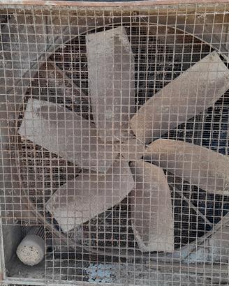 Ventilatori con centralima
