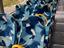 Immagine 11