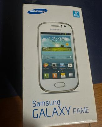 Cellulare samsung galaxi fame