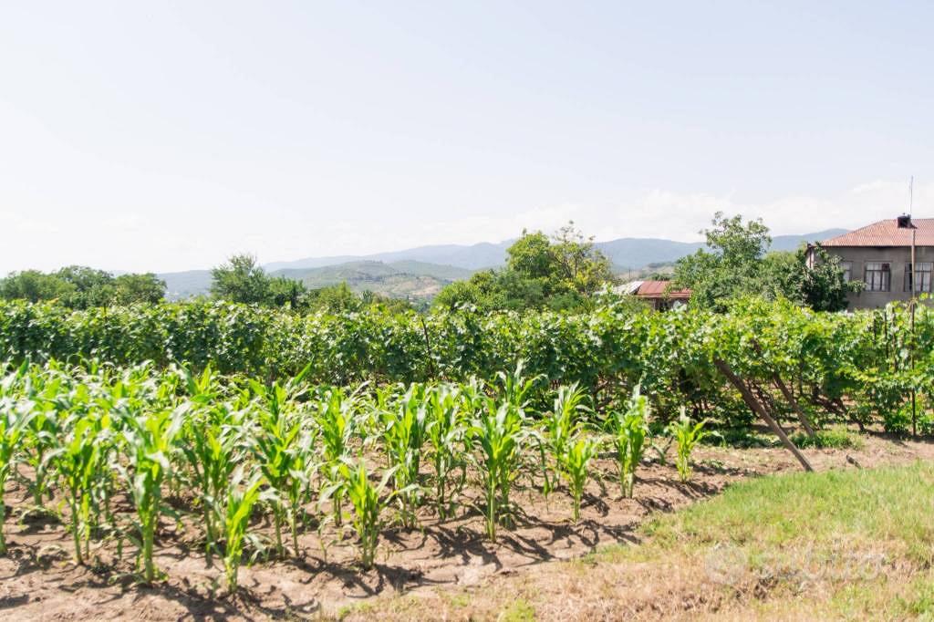 Terreno di 31530 m² a Lonato del Garda - Vista 4