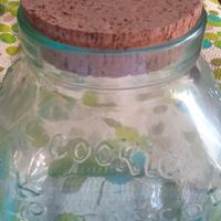 vaso in vetro x biscotti 