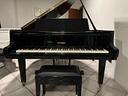 pianoforte-mezza-coda-petrof