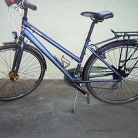 bici hoprider100