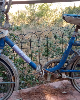 Bicicletta Graziella anni 70