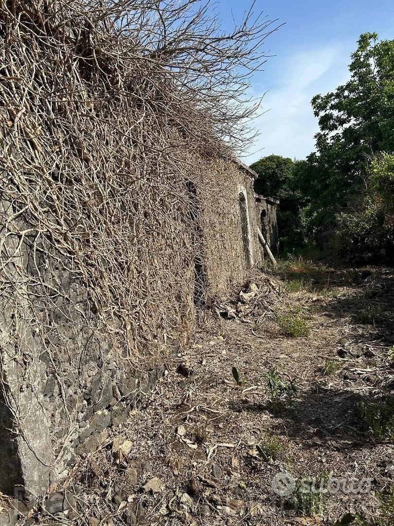 Terreno 10.000mq tra Pozzillo e Stazzo - Acireale - Altro