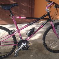 Mountain bike