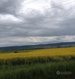 T E R R E N O a soli 30 km da Praga