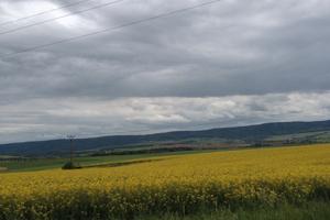 T E R R E N O a soli 30 km da Praga