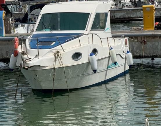 Barca Saver bimotore natante