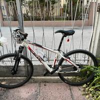 MTB FRW SYCAMORE