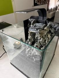 Acquario con cascata