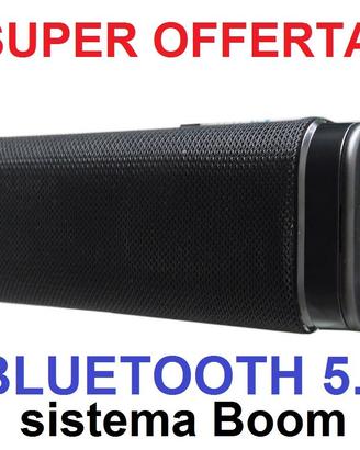 Cassa Bluetooth 5.0 Portatile Boom con Radio FM