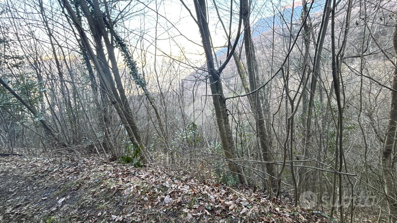 TER. AGRICOLO A LIERNA - Vista 2