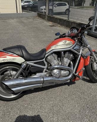 Harley-Davidson V-Rod