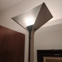 Papillona Flos Beige/Tortora